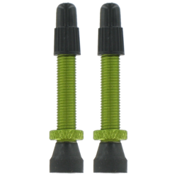 2 valves Presta aluminium - vert