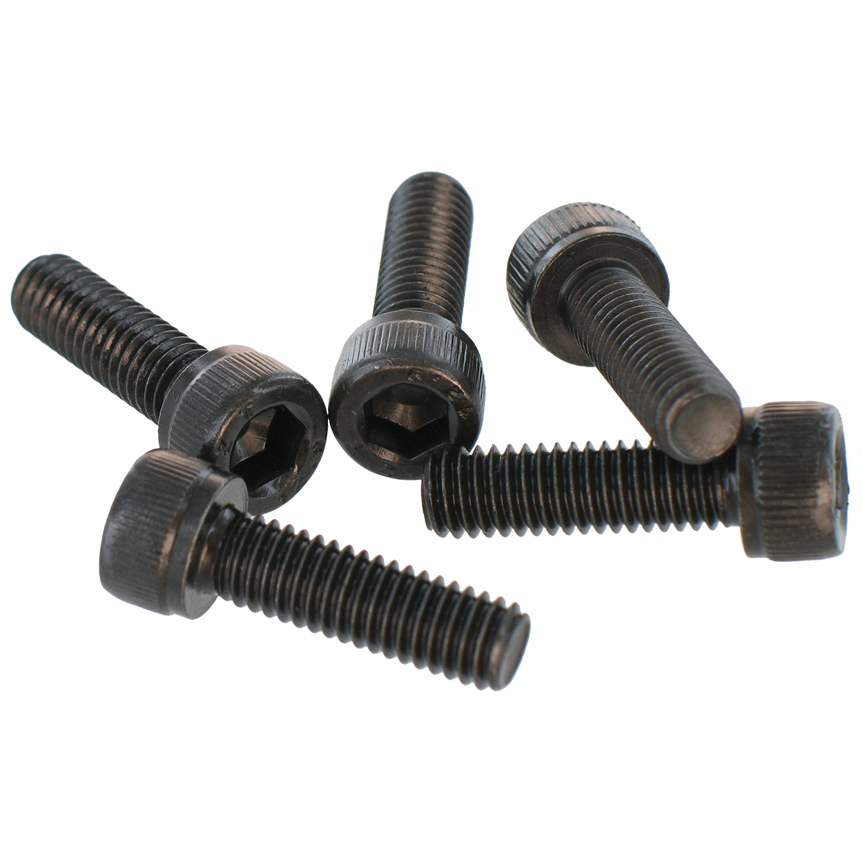 Bottle of 50 screws for pads - CHC M6x20