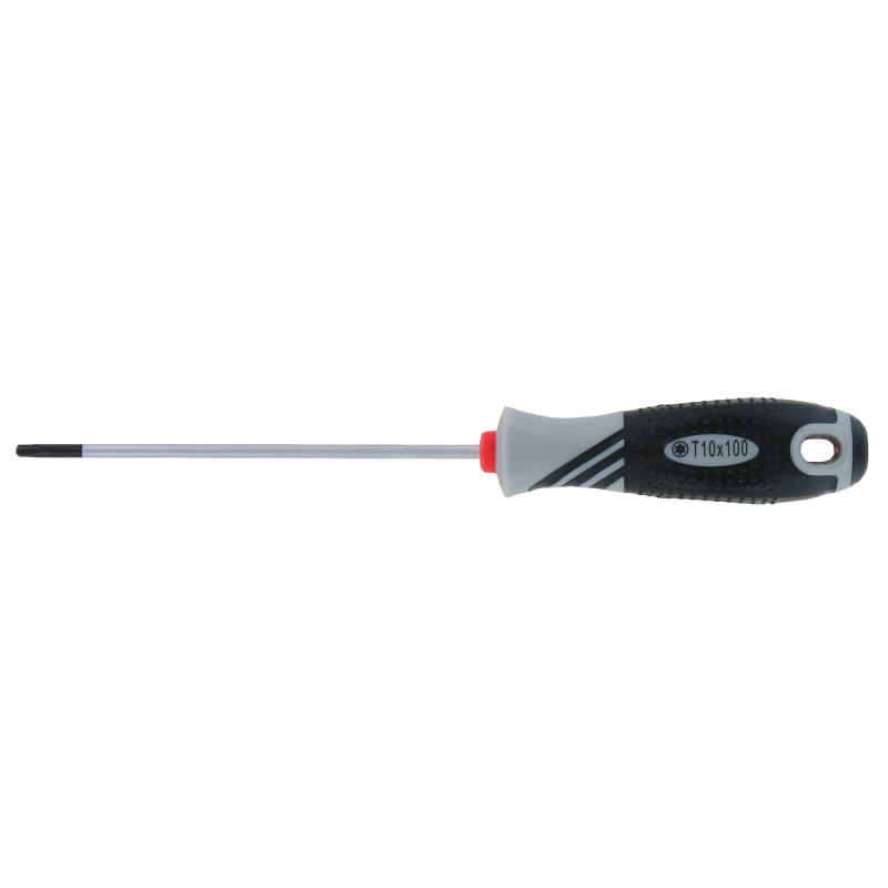 Tournevis Torx T10