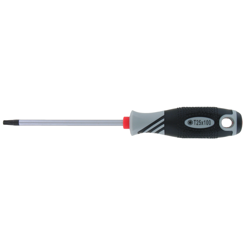 Tournevis Torx T25