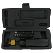 "1-6 Nm Professional torque screwdriver with 1/4"" drive"