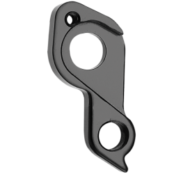 Derailleur hanger Focus