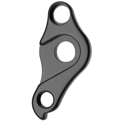 Derailleur hanger Focus