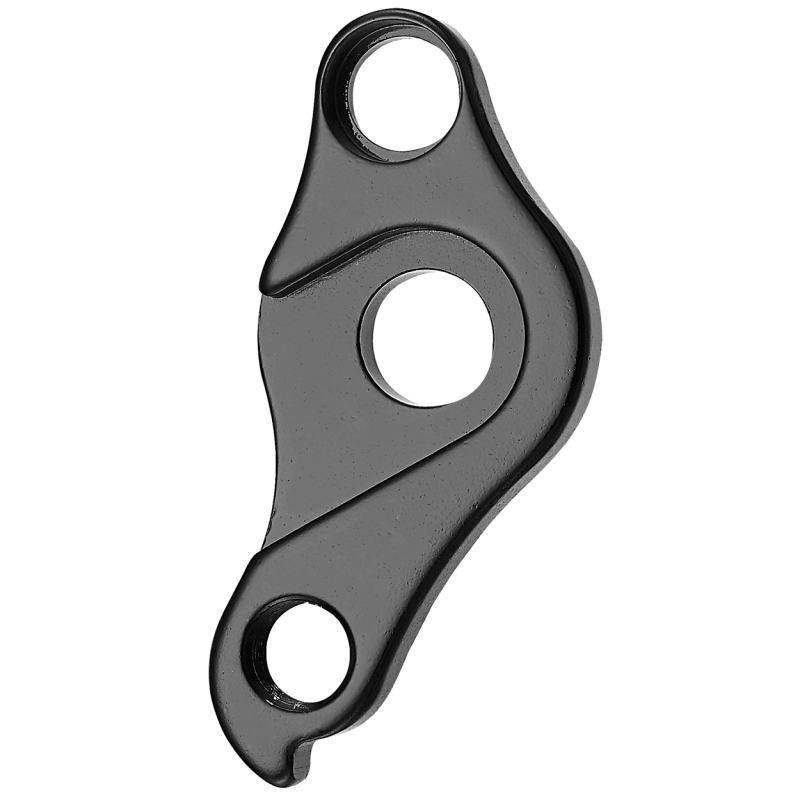 Derailleur hanger Focus