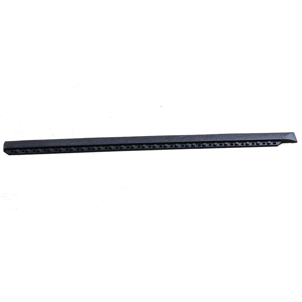 Bordure femelle noire