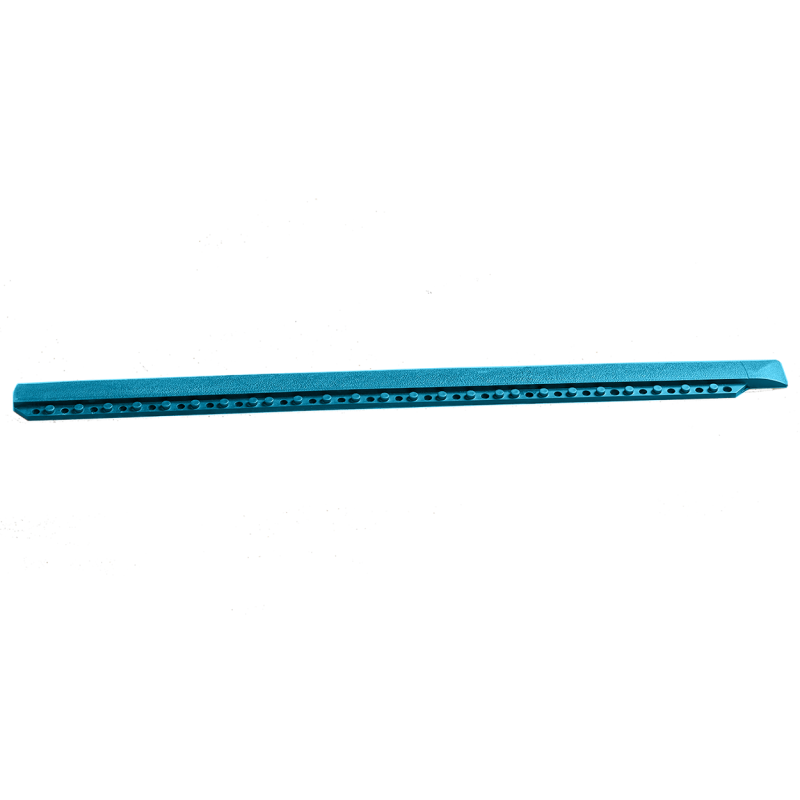 Bordure femelle bleue